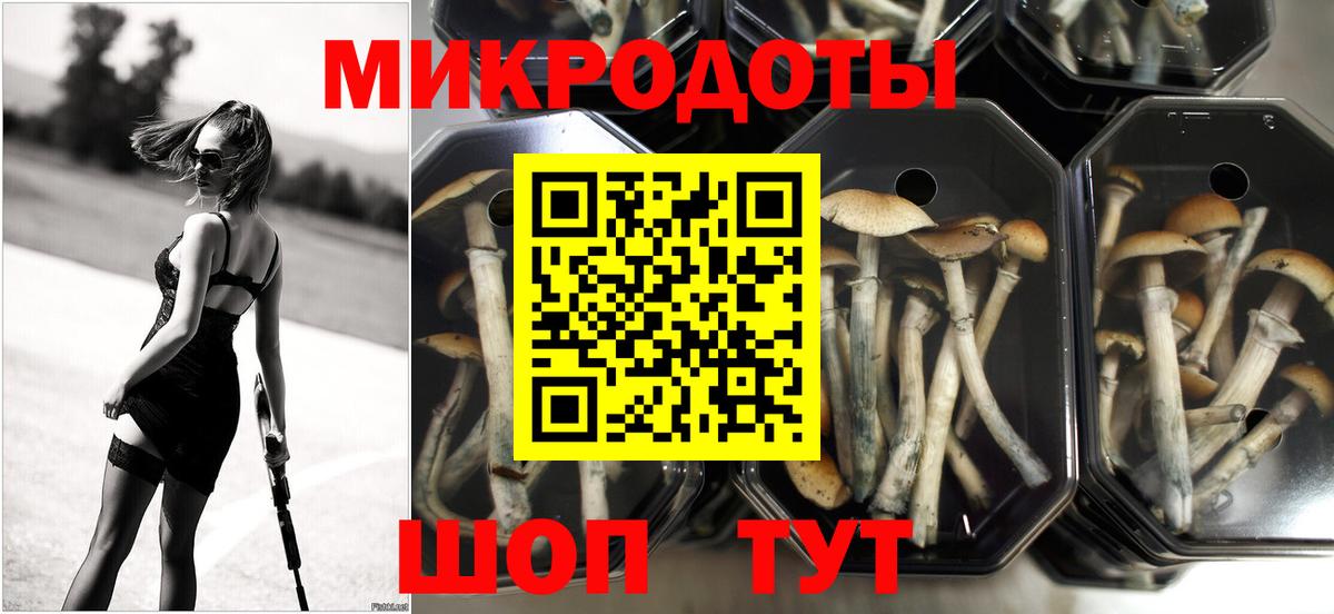 Галлюциногенные грибы Cubensis Шарыпово